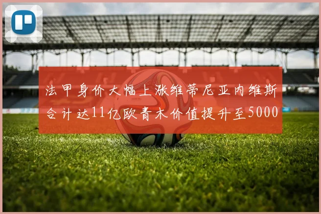 法甲身价大幅上涨维蒂尼亚内维斯合计达11亿欧青木价值提升至5000万